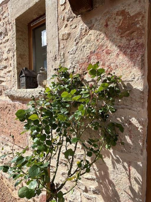 Le Tinailler Grand Standing Au Coeur Des Vignes Villa Prissé Eksteriør billede