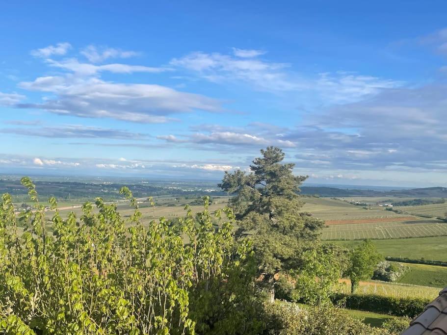 Le Tinailler Grand Standing Au Coeur Des Vignes Villa Prissé Eksteriør billede