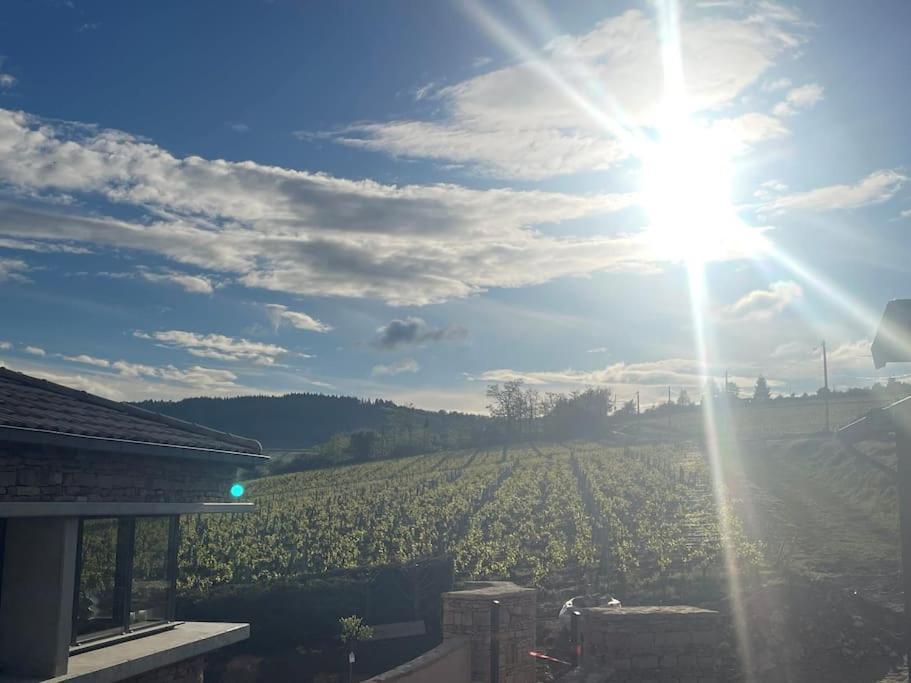 Le Tinailler Grand Standing Au Coeur Des Vignes Villa Prissé Eksteriør billede